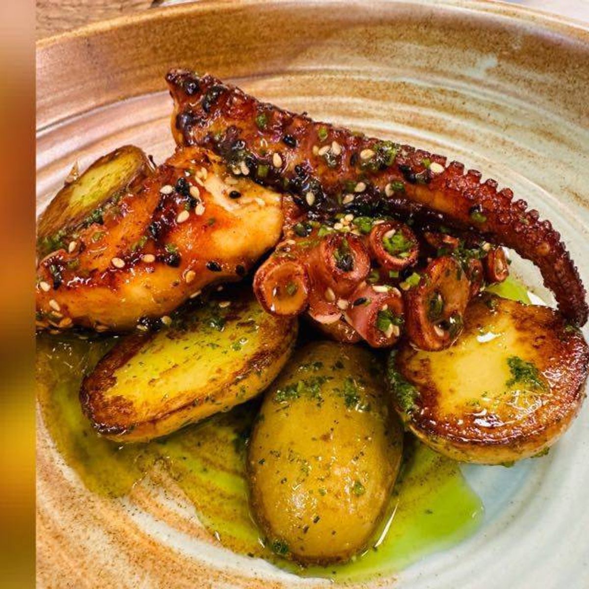 Caracatiță Mediteraneană